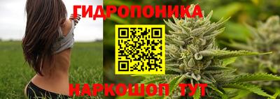 мдпв Ливны